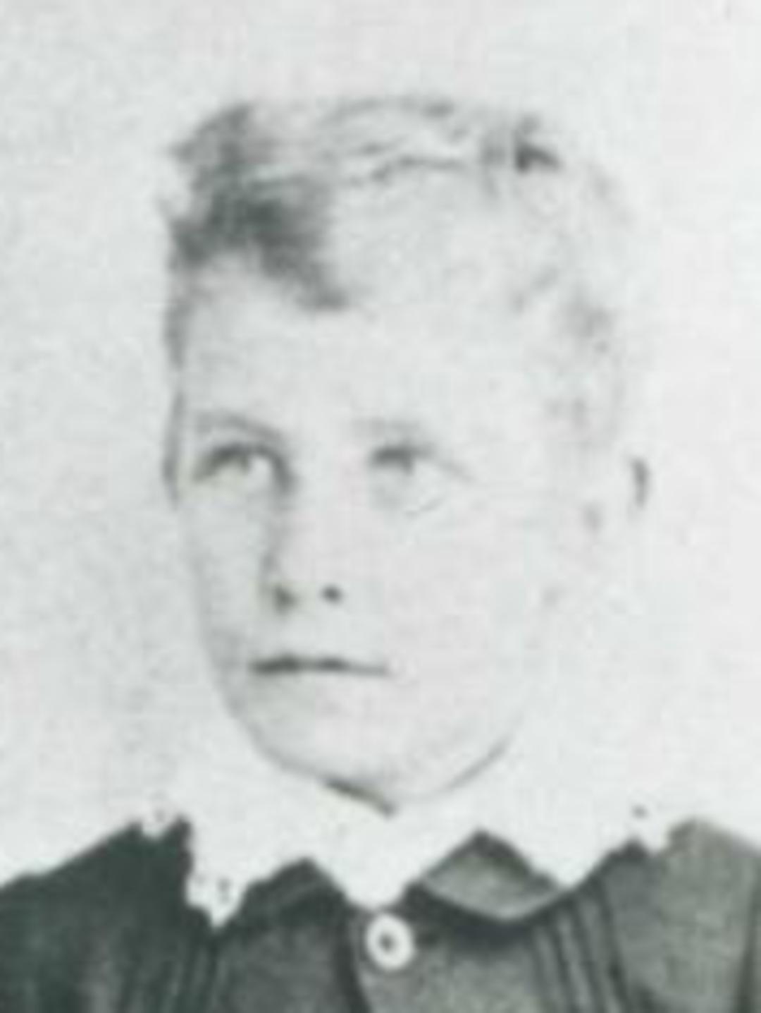 Charles McClintock (1860 - 1909) Profile
